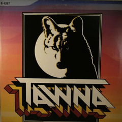 Terry Christensen - Yellow Eyes on Lastwalk Beach