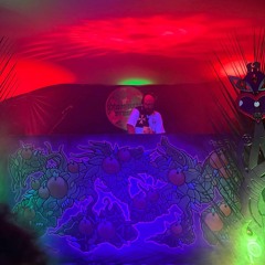Live from Tangerine Steeze - Kiwiburn 2025