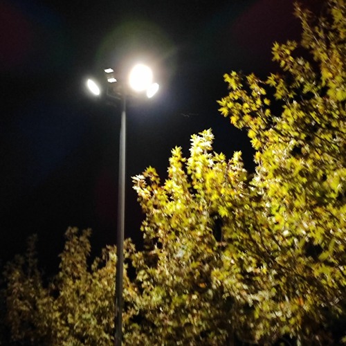 midnight
