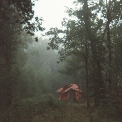 L'enracinement et le voyage ✺ 𝔞𝔪𝔟𝔦𝔢𝔫𝔱 & 𝔡𝔬𝔴𝔫𝔱𝔢𝔪𝔭𝔬 𝔪𝔦𝔵 ✺