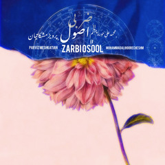 Zarbi osool