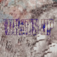 Whats Up