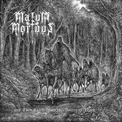 In Summis Montibus (Nazgûl cover)