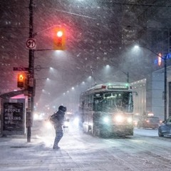 MELLOW WINTER.