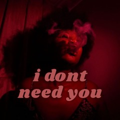 i don't need you
