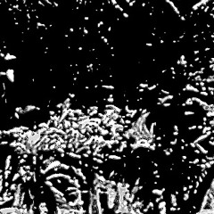 {𝟸𝟼/𝟷/𝟸𝟻} 𝚐𝚛𝚘𝚘𝚟𝚎 𝚖𝚒𝚡 𝙸𝙸