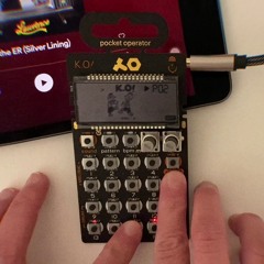 Silver Lining - Lawrence Flip