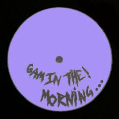 Flex Ft Nate Dogg - 6 In The Morning (Scott Gascoigne Remix)FREE DL