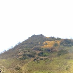 sceniic - michael jackson You Are Not Alone [bubble wrap remix]