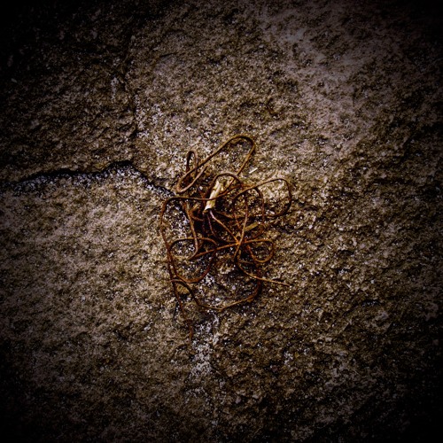 A Clearing (vocal version)