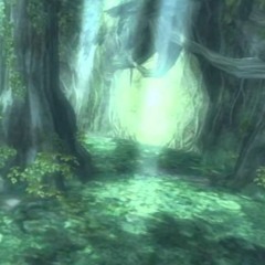 Lost Woods With a Backwoods |@mindshift