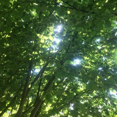 1_D13D_QU173_4_WH1L3_4G0