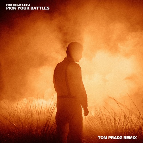Petit Biscuit & Diplo - Pick Your Battles (Tom Pradz Remix)