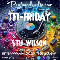 #293 Profound Radio Melodic Techno @djstuwilson
