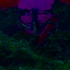 именно - занесло