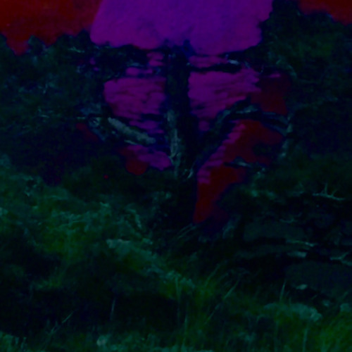 именно - занесло