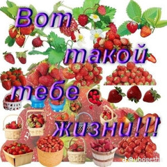эир в лайке