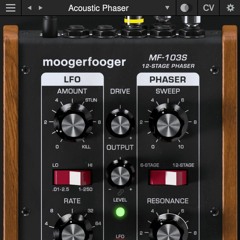 Moogerfooger MF-103S | Down The Rhodes | Lisa Bella Donna