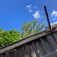 Max B - I Warned You (feat. French Montana)