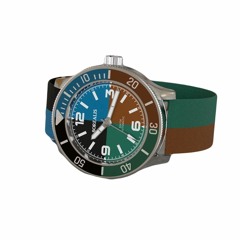 Men's Diver Watches | Borealis Watch Company