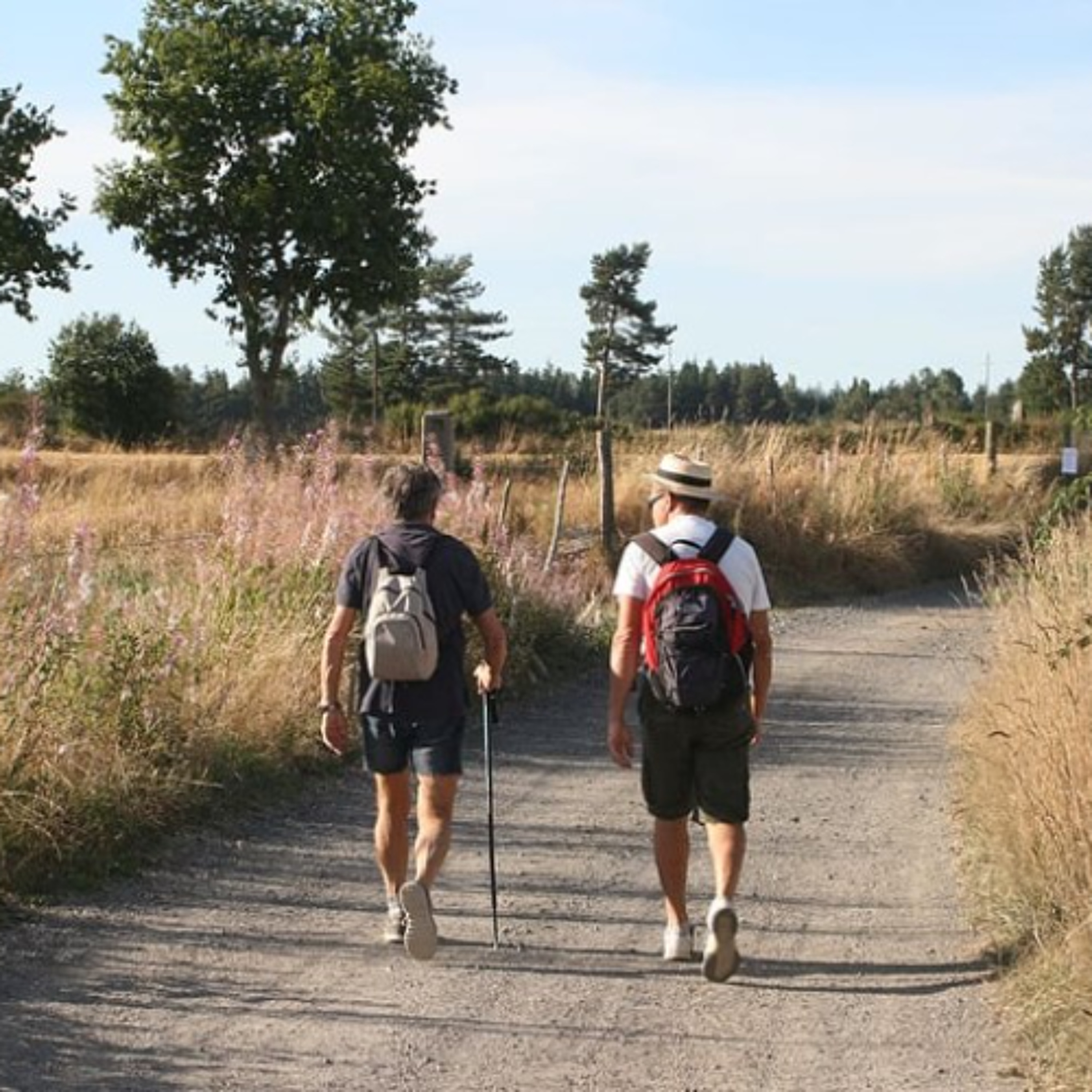 Having Difficulty Walking? 5 Tips to Manage Mobility Progression episode artwork