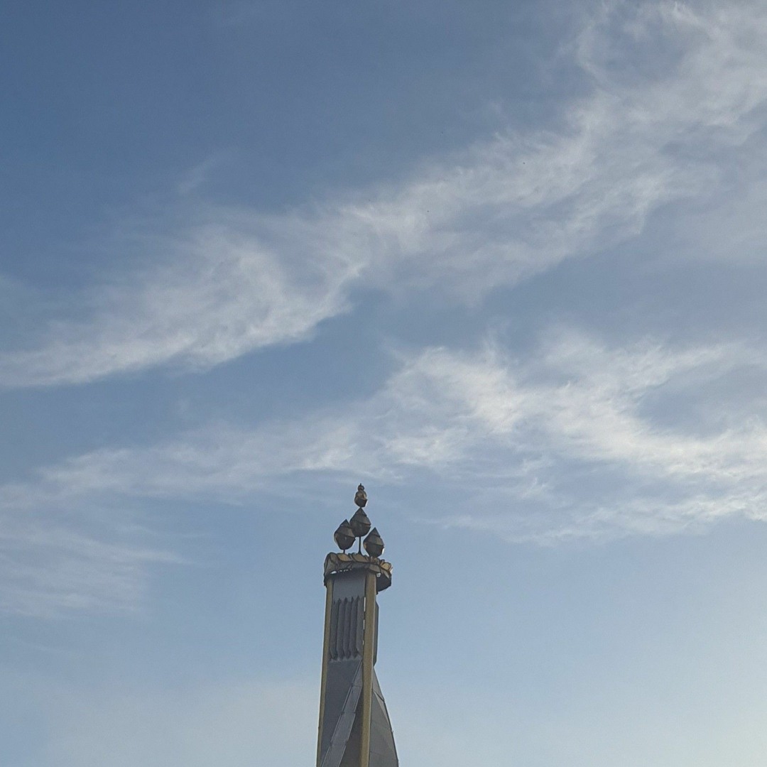 Mushukdagi bir juft katta siklar