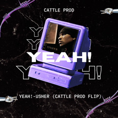 Yeah! - Usher (feat. Lil Jon & Ludacris) (CATTLE PROD Flip)