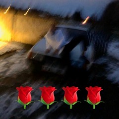 4 rozes