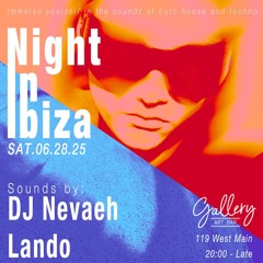 Night In Ibiza Mix