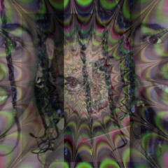 is there anyone here
