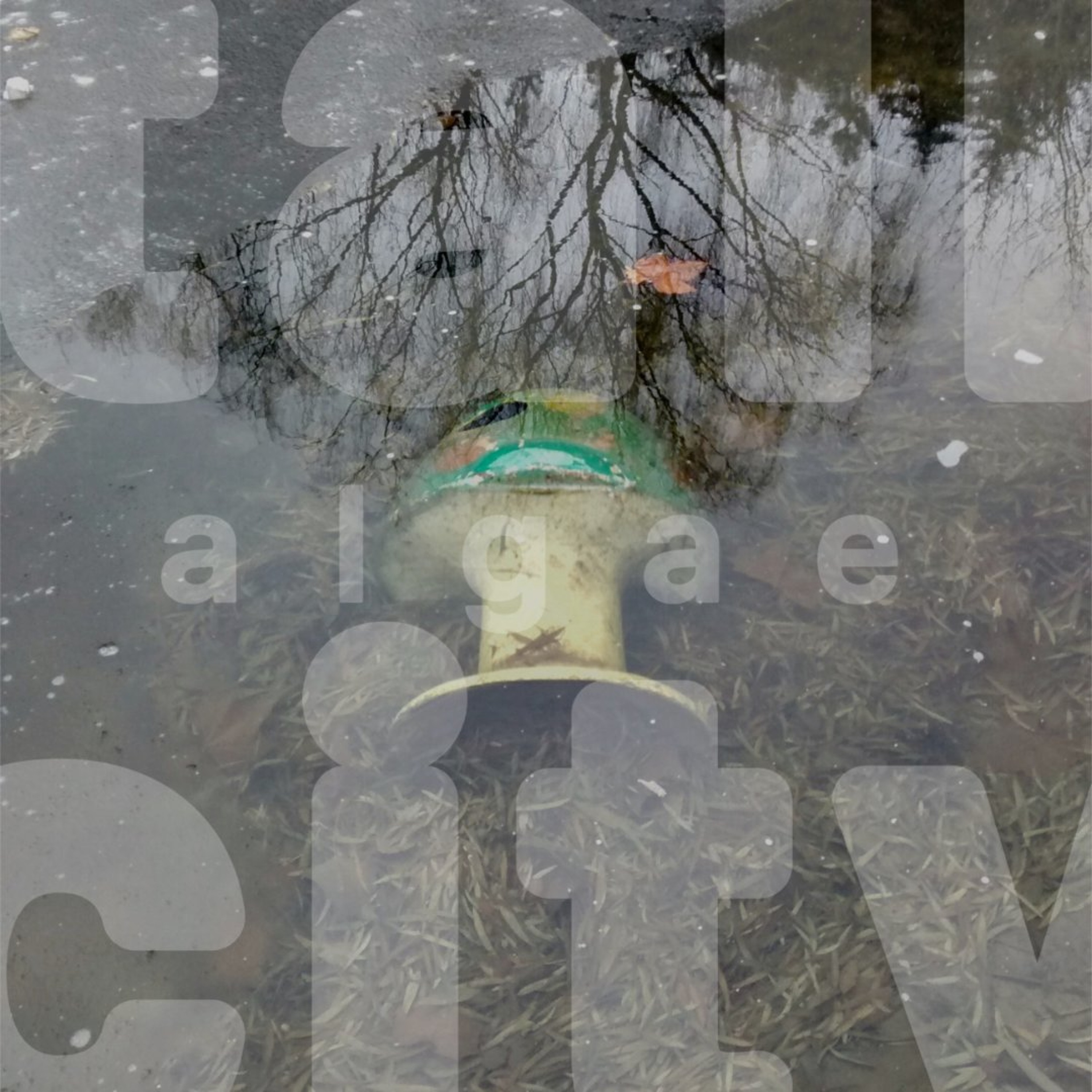 algae episode artwork