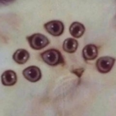 vallak orgasmus_(asmodeus RMX)