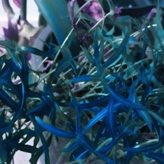 Yapod (Instrumental)