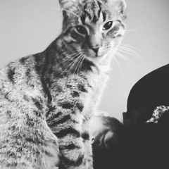 Trinity Project: Red "Fight Inside" Cover