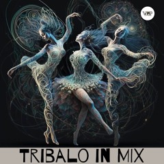 Tribalo (Compilation In Mix ) Camel VIP Records