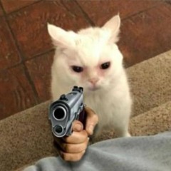 vadia de discord