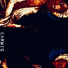 EARWIG-smoke coma