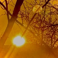 Heresy (prod. Kakuro Kun)