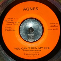 JAMES ROMEO WILLIAMS - You Can't Run My Life [Agnes Rec] 198! 7''