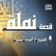 قصة نملة - الشيخ أمجد سمير