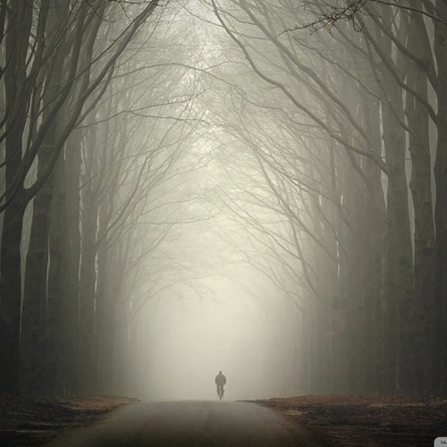 The Old Year Is Leaving