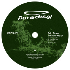 Edo Ecker - The Veiled Key EP