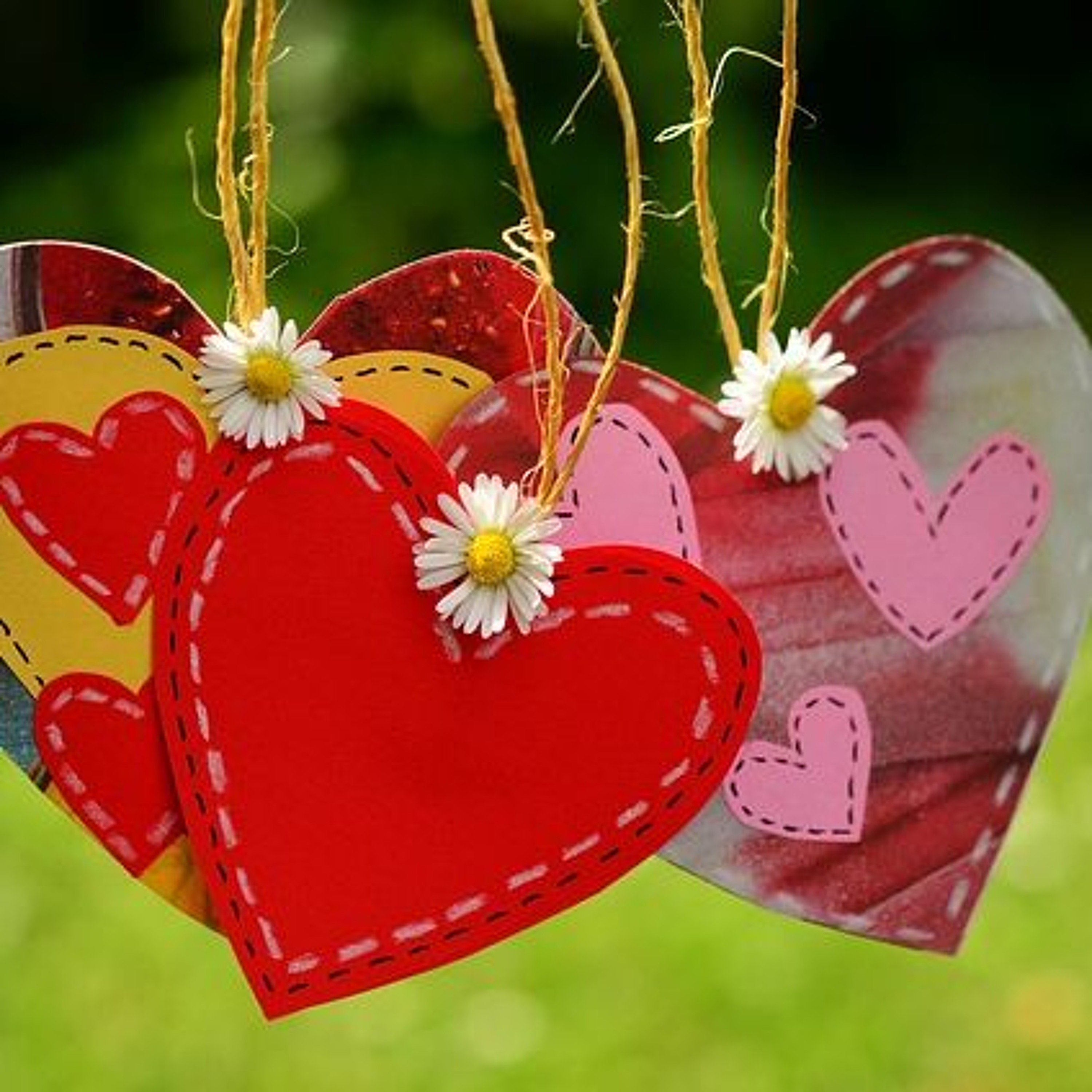 Look Who's Talking! - Pull Up a Chair