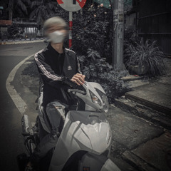 (Thập Cẩm Mix) Lmv-Mix