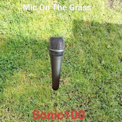 Mic On The Grass