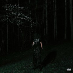 Destroy Lonely - Windows Tinted