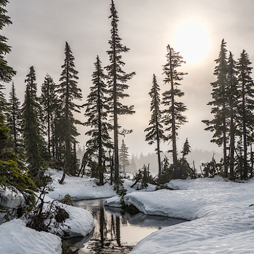 Growing Cold During These Troubled Times