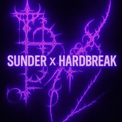 Sētrek - Sunder X hardbreak #3