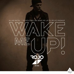 Avicii - Allan Natal - I'm Holding On Wake Me Up (Dj Rojo Mashup) FREE DOWNLOAD