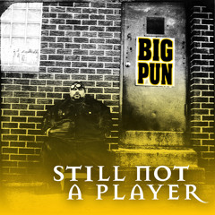Still Not a Player (Remix) (Instrumental)